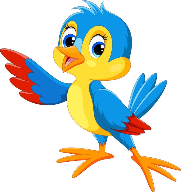 Cute cartoon bird on white background