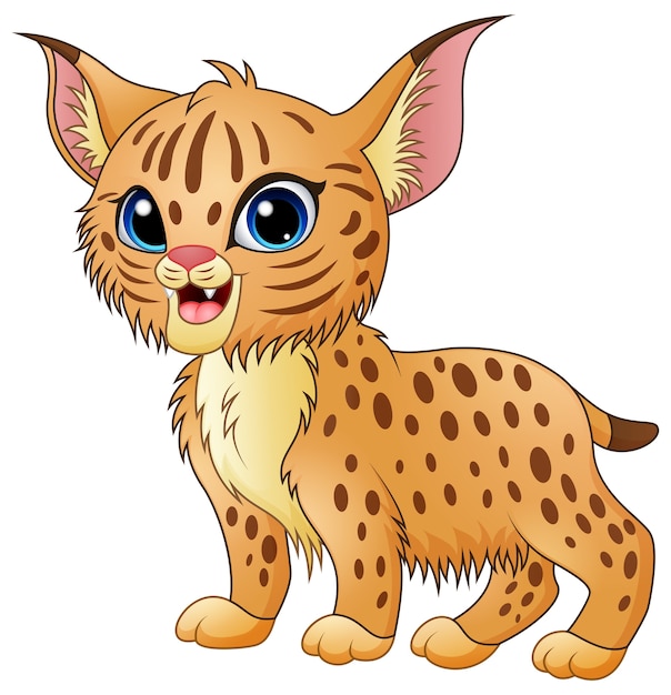 Cute cartoon bobcat