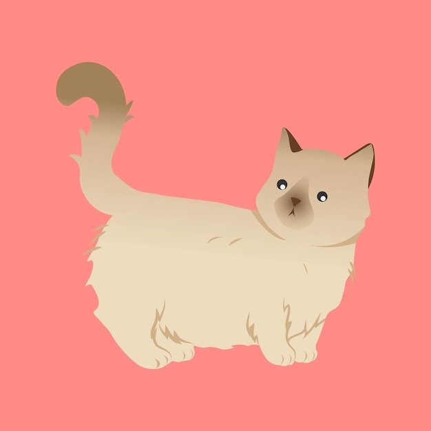 cute cartoon cat illustration