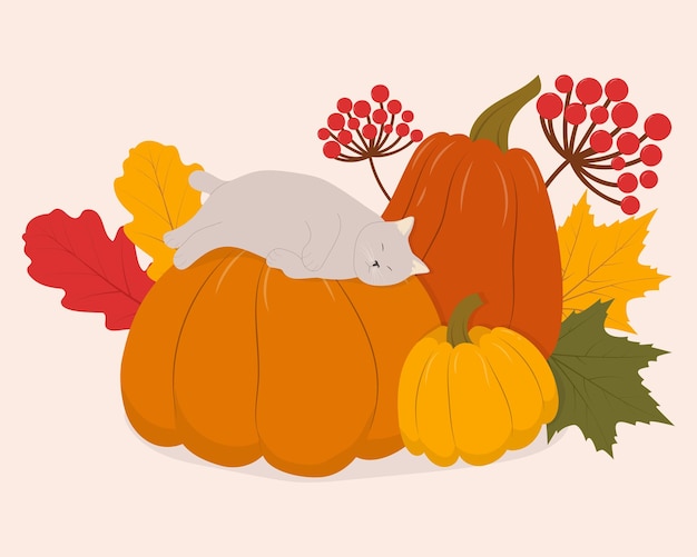 Cute cartoon cat sleeping on a pumpkin