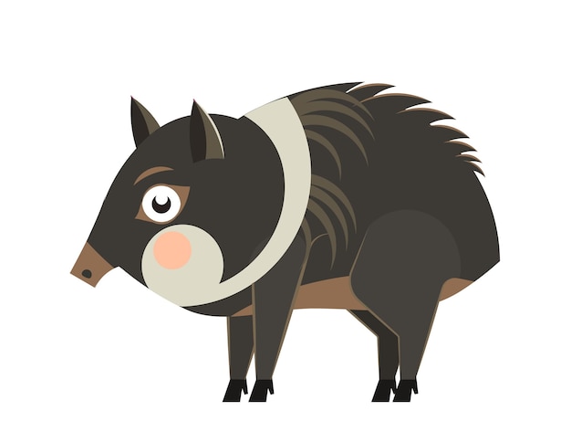 Cute cartoon collared peccary in flat