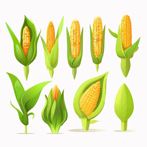 Cute cartoon Corn characters with expressions and emotions