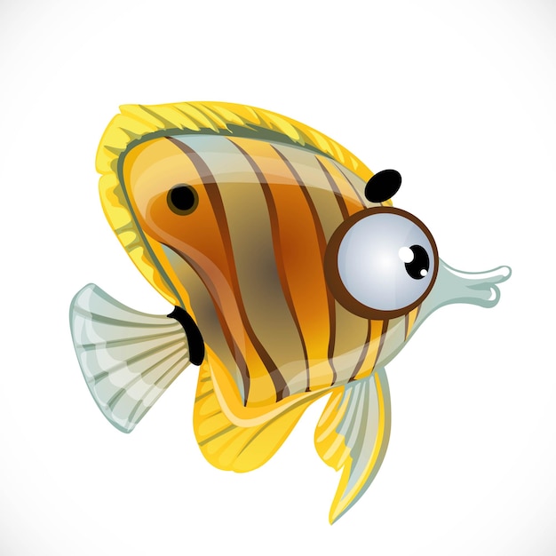 Vector cute cartoon discus fish isolated on a white background