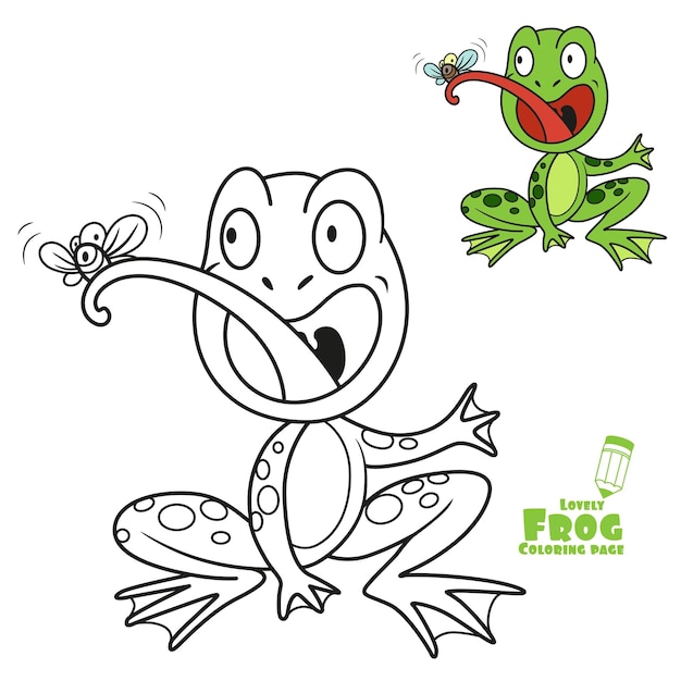 Cute cartoon frog eats fly color and outlined on a white backgro