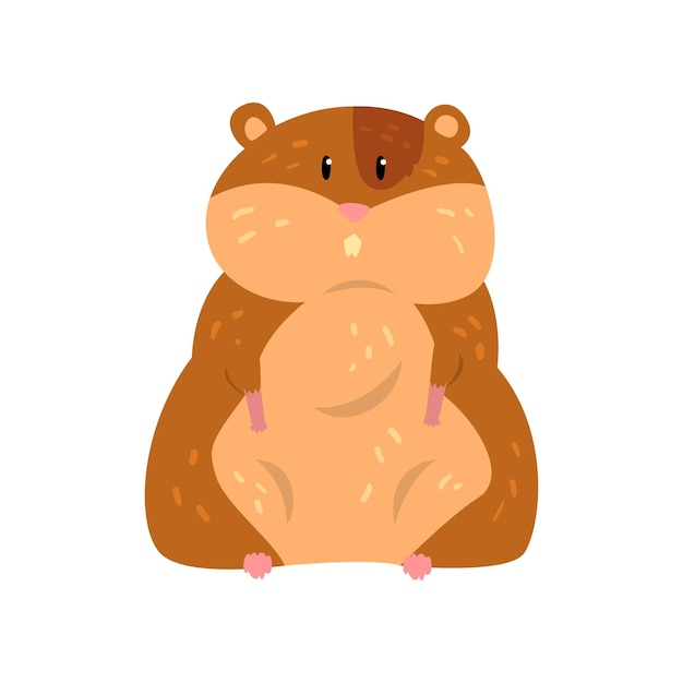 Cute cartoon hamster character sitting funny brown rodent animal pet vector Illustration on a white background