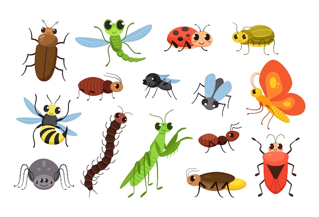 Cute cartoon insects Happy bugs smiling fly and little mantis vector Illustration set