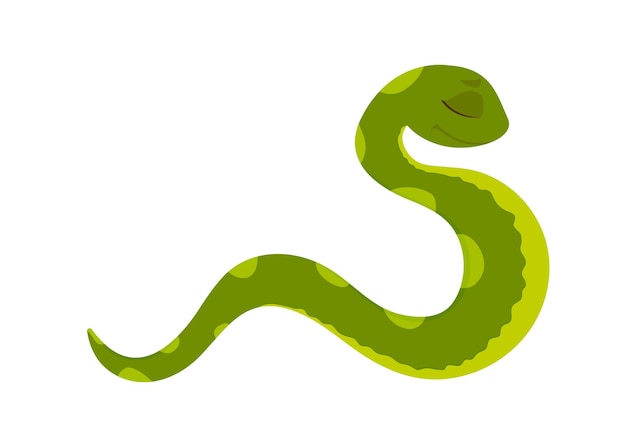 Cute cartoon kind green snake isolated on white background Vector illustration