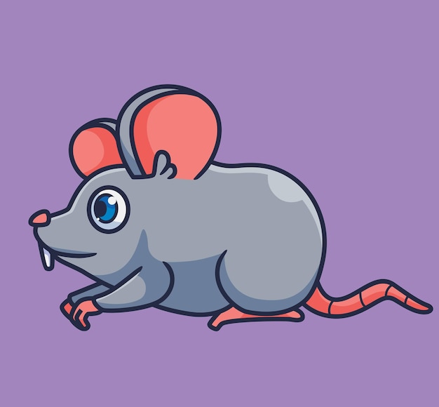 Cute cartoon mouse isolated cartoon animal illustration vector