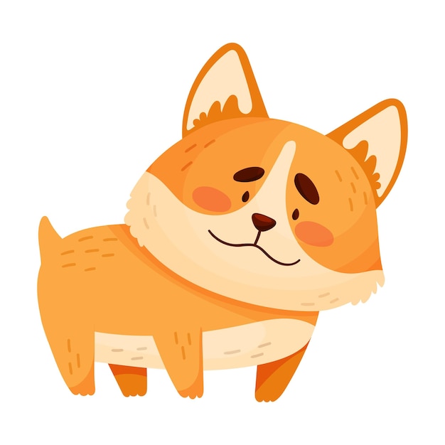 Cute cartoon orange welsh corgi Vector illustration on a white background