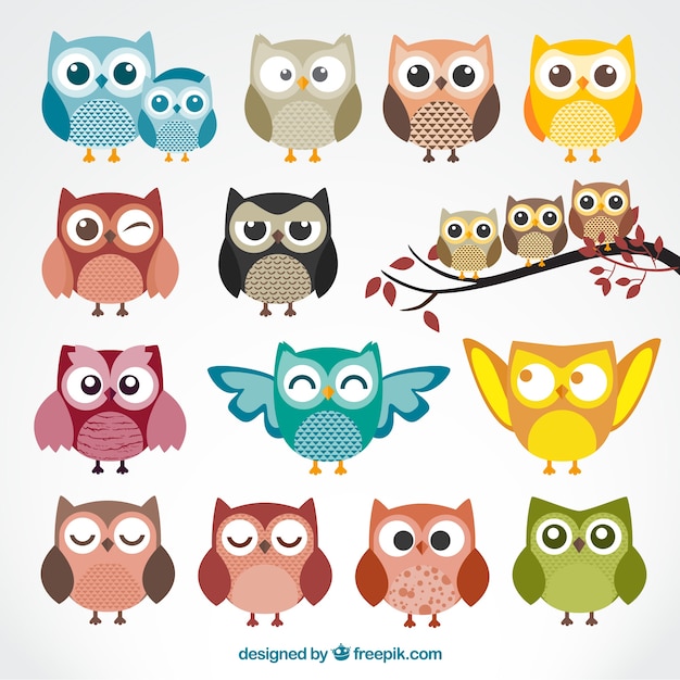 Cute cartoon owls