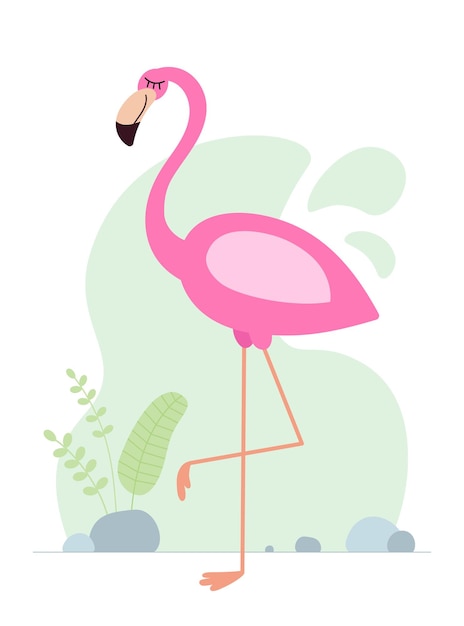 Cute cartoon pink flamingo drawing african baby wild exotic tropical bird kind smiling jungle safari