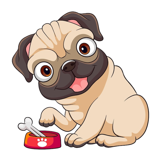 Cute cartoon pug dog eating bone isolated on white background