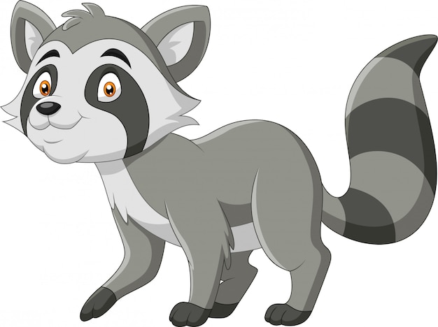 Cute Cartoon raccoon illustration