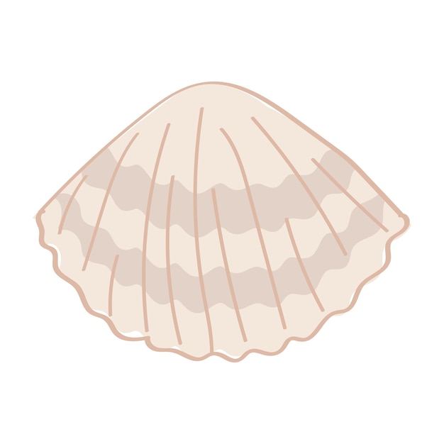 Cute cartoon style mollusk conch Isolated on white