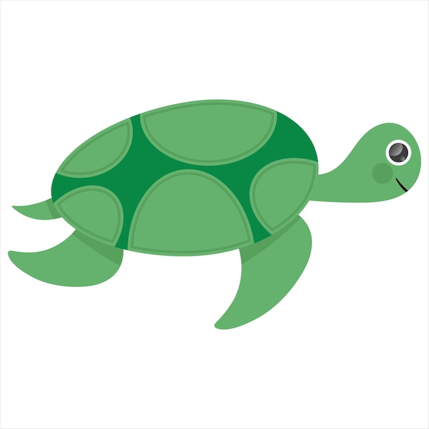 Cute Cartoon Turtle Character Illustration