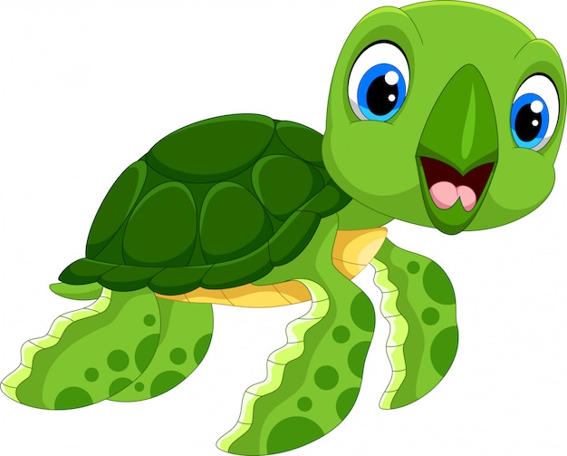 Cute cartoon turtle