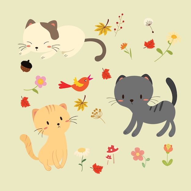 cute cat in autumn