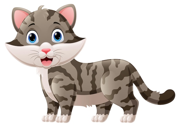 Cute cat cartoon on white background