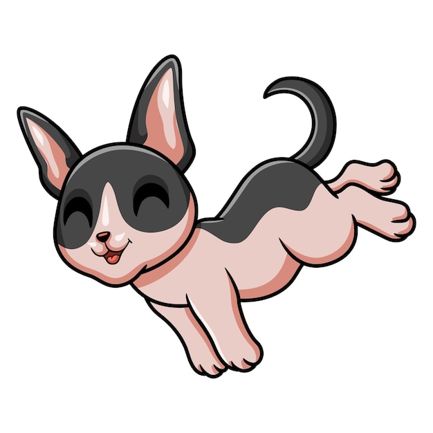 Cute cat cornish rex cartoon