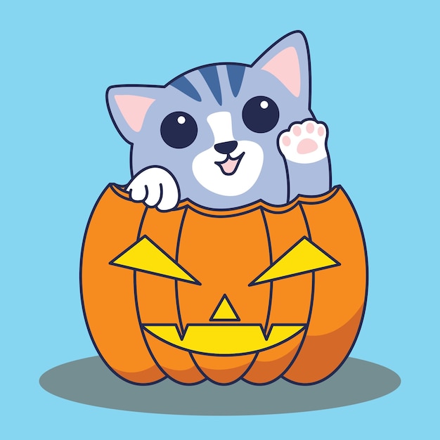 Cute Cat in Hallowen day