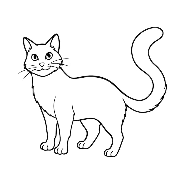 Cute Cat Outline Illustration On White Background