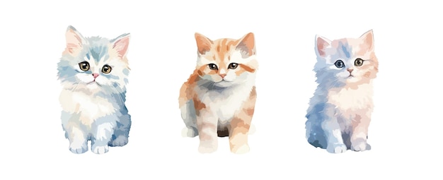 Cute cat watercolor isolated on white background Set of lovely kitty drawing vector illustration