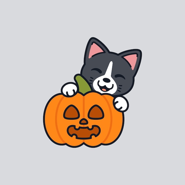 Cute Cat With Jack o Lantern Pumpkin