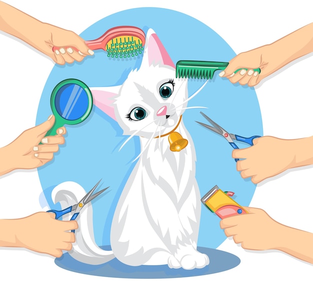 Cute cat with tool of pet grooming in flat vector style. Pet grooming services