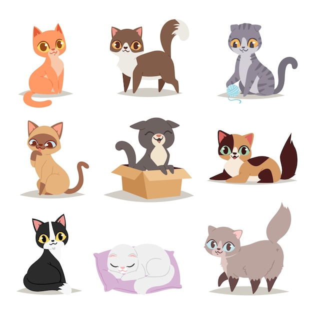 Cute cats character different pose 