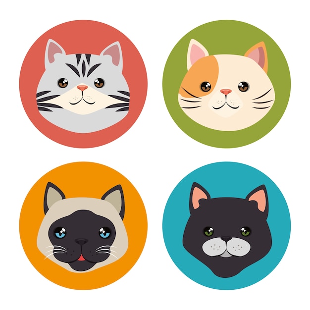 cute cats pets characters