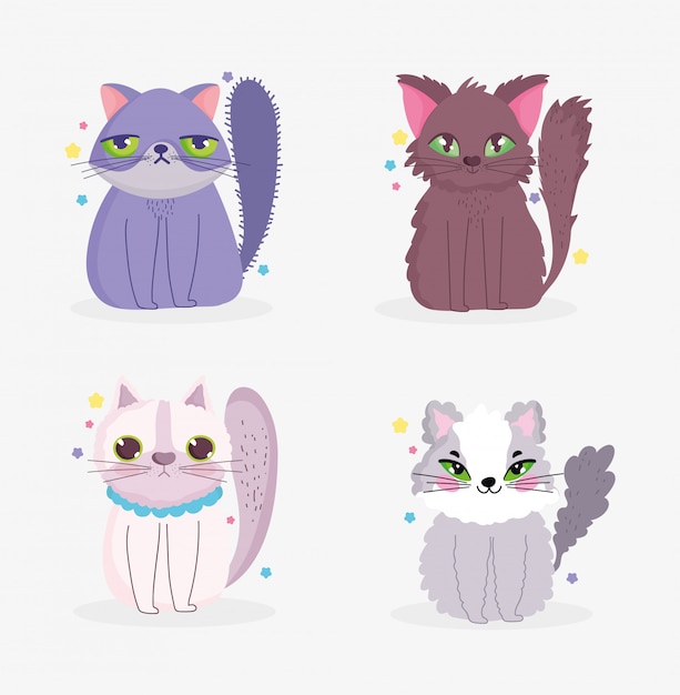 Cute cats sitting domestic cartoon animal, collection pets