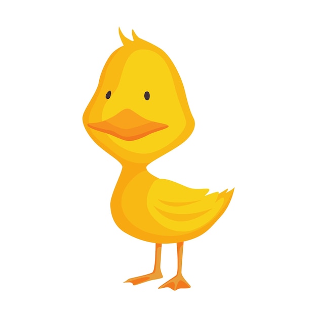 Cute chick. Baby cartoon yellow vector duck. Bird child character in funny facial expression, pose and gesture for graphic design