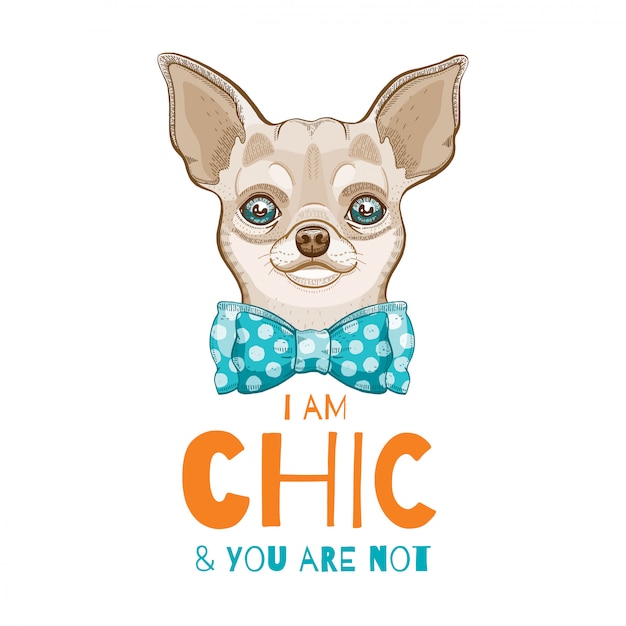 Cute Chihuahua dog. Doodle sketch for t-shirt print, poster, cart design. 