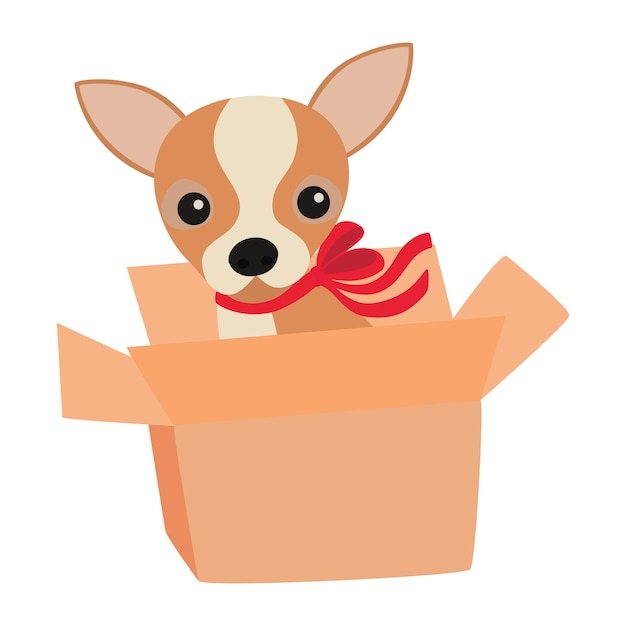 Cute Chihuahua dog with a red bow in a box