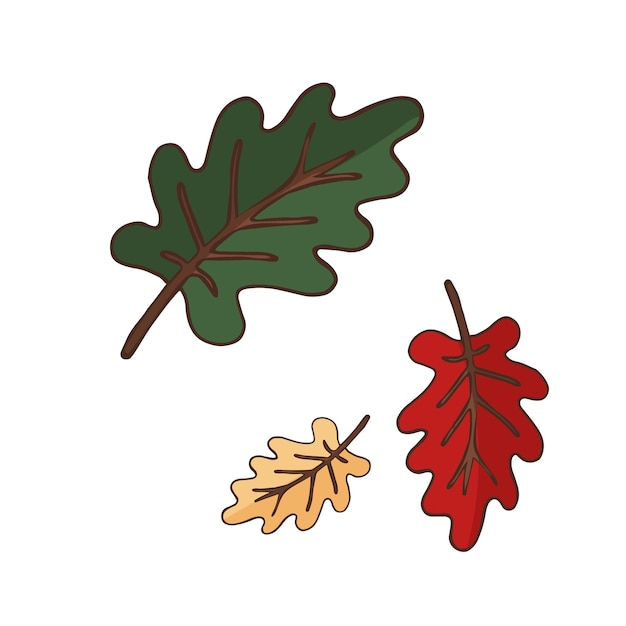 Cute colorful oak leaves design element Soncept nature Hand drawn vector illustration in doodle