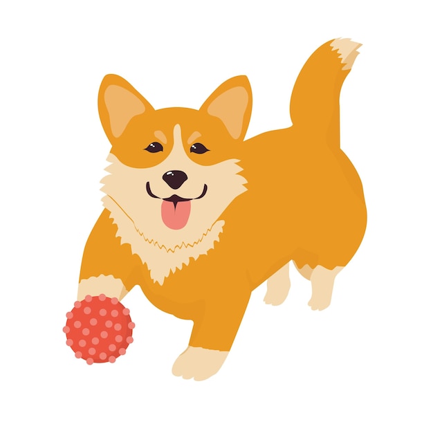 Cute Corgi dog playing Funny active doggy jumping and catching ball Flat vector illustration