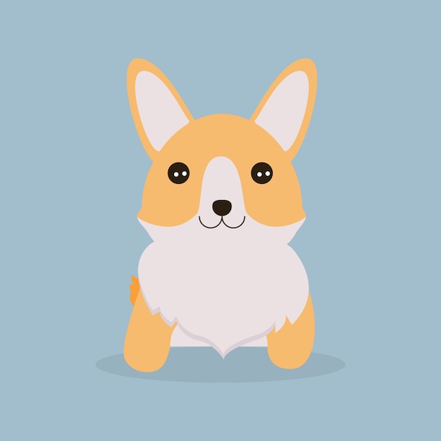 Cute corgi dog