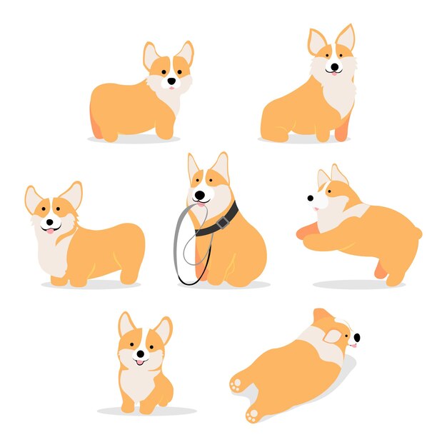 Cute corgi puppies isolated on white backgound Premium Vector