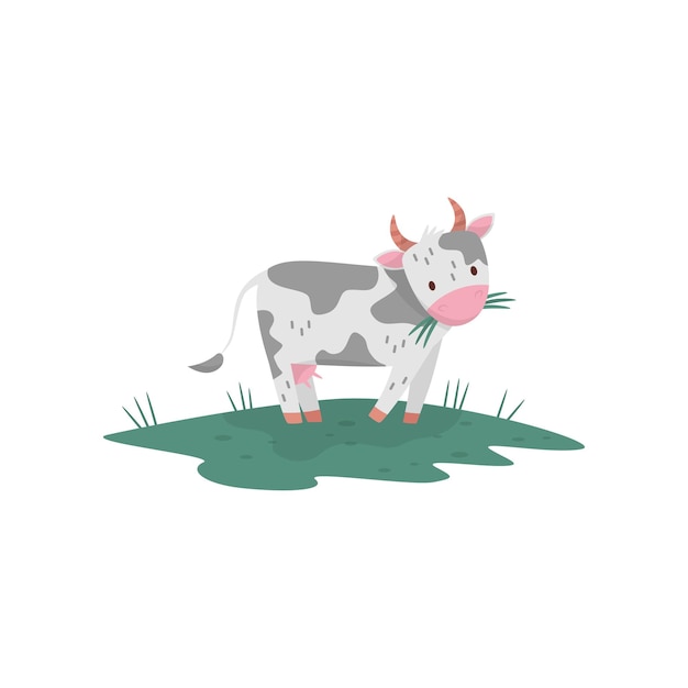 Cute cow eating grass Farm animal grazing on green meadow Flat vector element for packaging of milk or promo poster