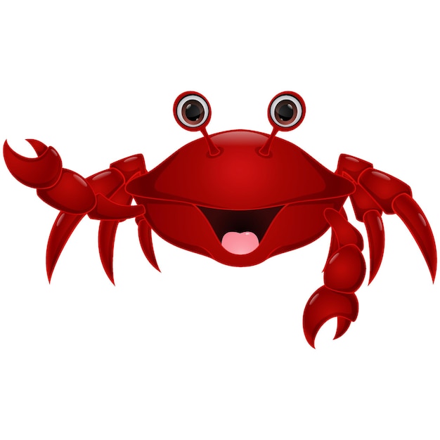 Cute crab cartoon on white background