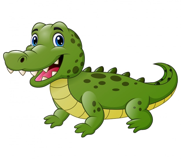 Cute crocodile cartoon isolated on white 