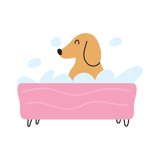 Cute dachshund sit in bath. Vector flat illustration on white background.