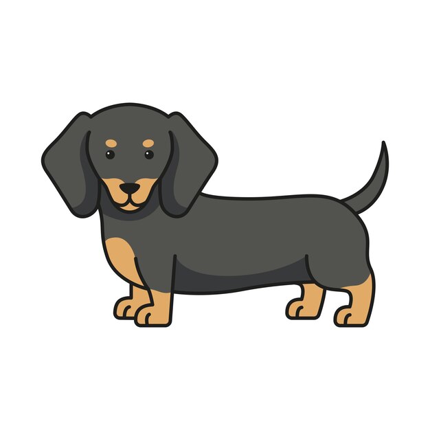 Vector cute dachshund vector illustration