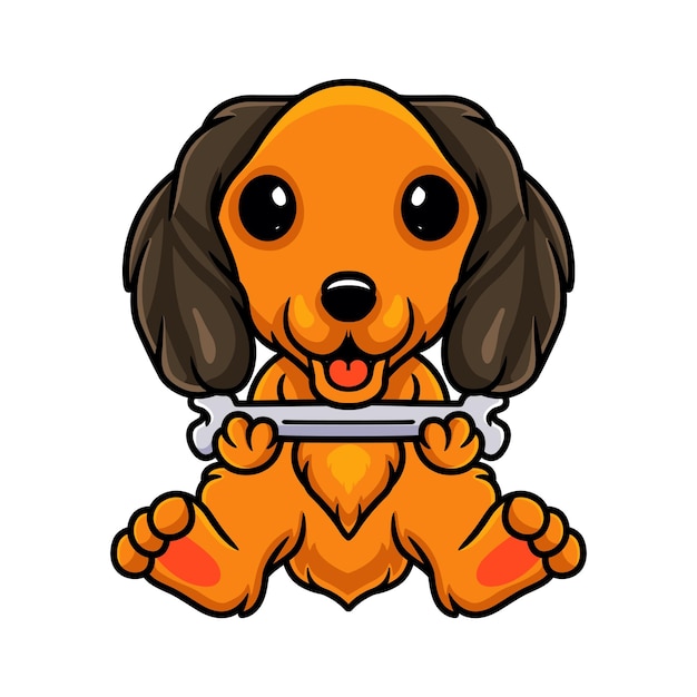 Cute dachund dog cartoon holding a bone