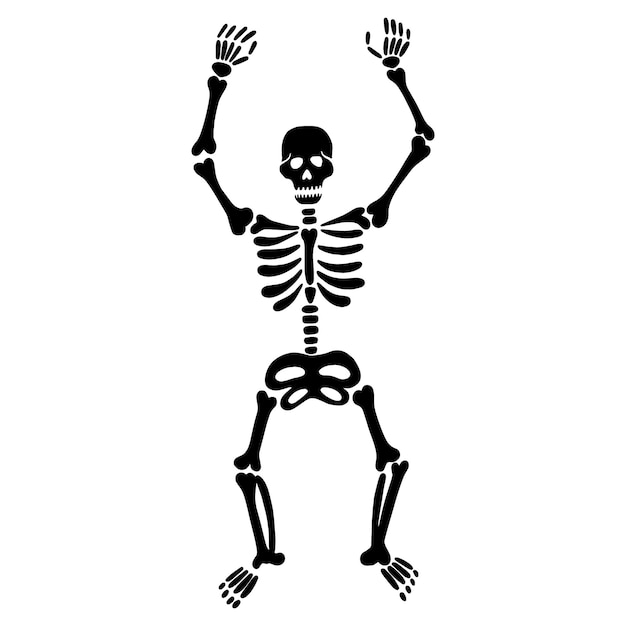 Cute dancing skeleton on a white background