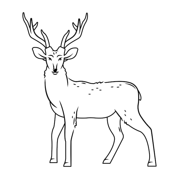 A cute deer stands on a white background Vector outline illustration with cute forest animals