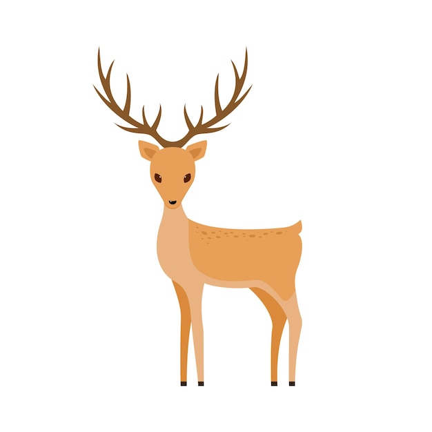 Cute Deer