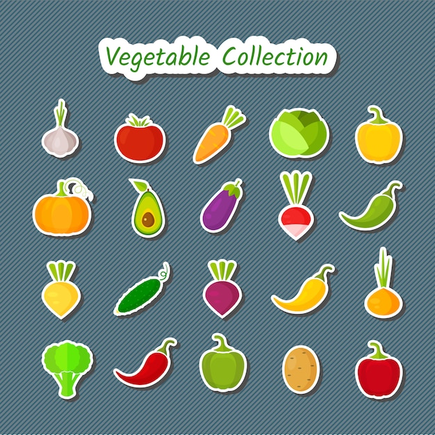 Cute design vegetable icon set of isolated patches