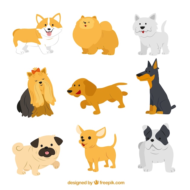 Cute dog breeds