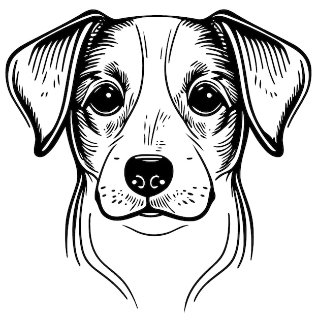 Cute dog domestic animal head